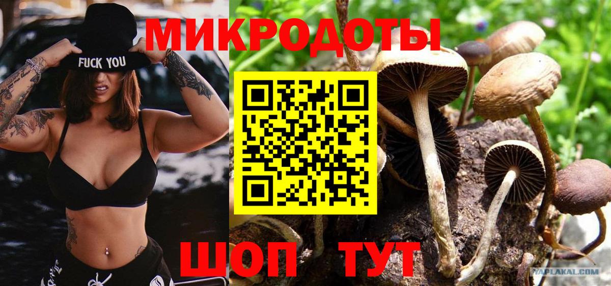 Донецк  Галлюциногенные грибы Psilocybe  Вход с VPN 